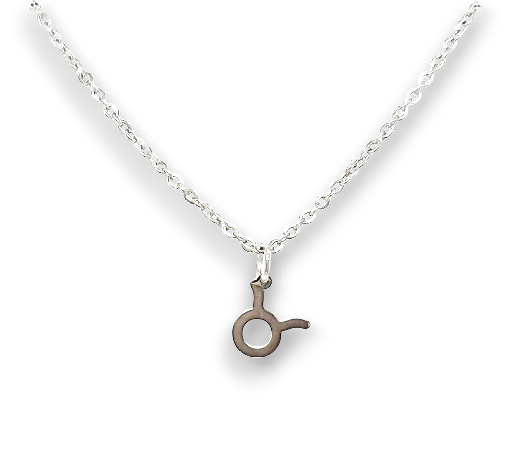 Zodiac Stainless Steel Necklace